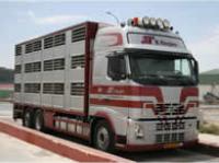 Pig transporter lorry