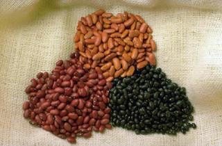 Diiferent kinds of beans