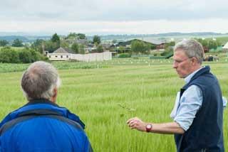 Farmer talking to an advisor in a cereal field