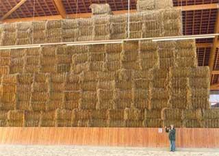 Bales of straw stacked in a shed