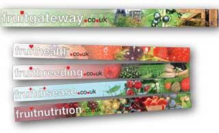 Image showing the Fruit Gateway web banners