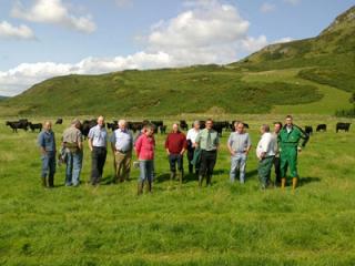 Glenfeochan Estate farm walk