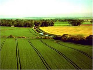 landscape of fields