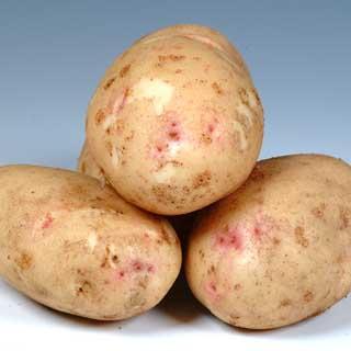 Photograph of potatoes
