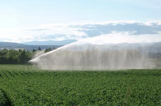 Watering crops © Stewart Malecki/The James Hutton Institute