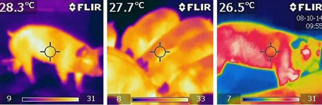 flir ktn-5 640x200.jpg