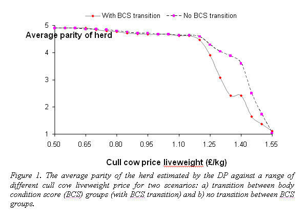 Average parity of herd against cull cow price liveweight