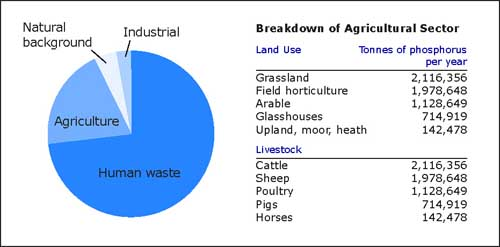 Figure 1: Contributions from different sources to the phosphorus load of British waters