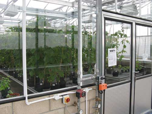 Photograph of containment cubicles in the high health facility