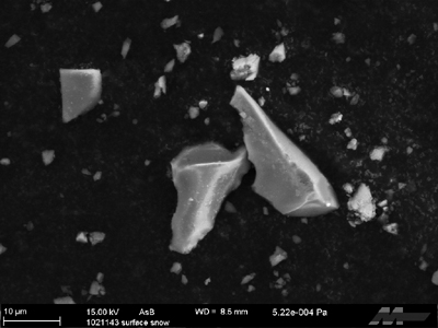 Fig. 3 Scanning electron microscopy image of volcanic glass from snow