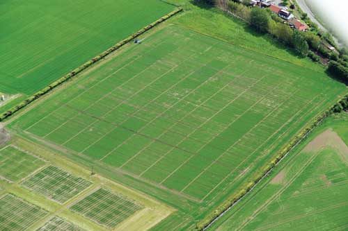 Figure 2: Aerial photograph of a field experimental site at SCRI investigating the effects of compost and slurry