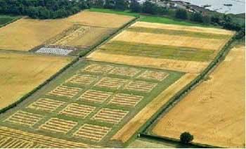 Photograph showing tests on the impact of reduced tillage and the addition of compost and slurry on system resilience