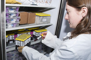 Researcher taking samples out of cold storage